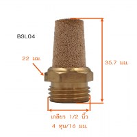 BSL04 วัดไซต์3